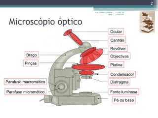 Microscópio óptico CLUBE DE CIÊNCIAS Prof.Teresa Condeixa 0809 Ocular Canhão Revólver Objectivas Braço Platina Fonte luminosa Diafragma Pé ou base Parafuso macromético Parafuso micromético Pinças Condensador 