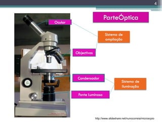 CLUBE DE CIÊNCIAS Prof.Teresa Condeixa 0809 http://www.slideshare.net/nunocorreia/microscpio 