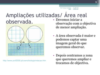 Ampliações utilizadas/ Área real observada. Devemos iniciar a observação com a objectiva de menor ampliação. A área observada é maior e podemos captar uma imagem geral do que queremos observar. Depois centramos a zona que queremos ampliar e trocamos de objectiva.  CLUBE DE CIÊNCIAS Prof.Teresa Condeixa 0809 http://www.prof2000.pt/users/biologia/relacao.htm 