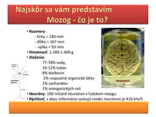 • Rozmery :
     - šírka = 140 mm
     - dĺžka = 167 mm
     - výška = 93 mm
• Hmotnosť: 1.300-1.400 g
• Zloženie:
           77-78% vody,
           10-12% tukov
           8% bielkovín
           2% rozpustné organické látky
           1% sacharidov
           1% anorganických solí
• Neuróny: 100 miliárd neurónov v ľudskom mozgu
• Rýchlosť, s akou informácie cestujú medzi neurónmi je 416 km/h
 