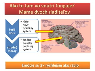 • rácio
            nový
            flexibilný
 šedá       systém
 kôra

          • emócie
            praveký
stredný     poplašný
            systém
mozog



           ó sú 3× rýchlejšie ako rácio
 