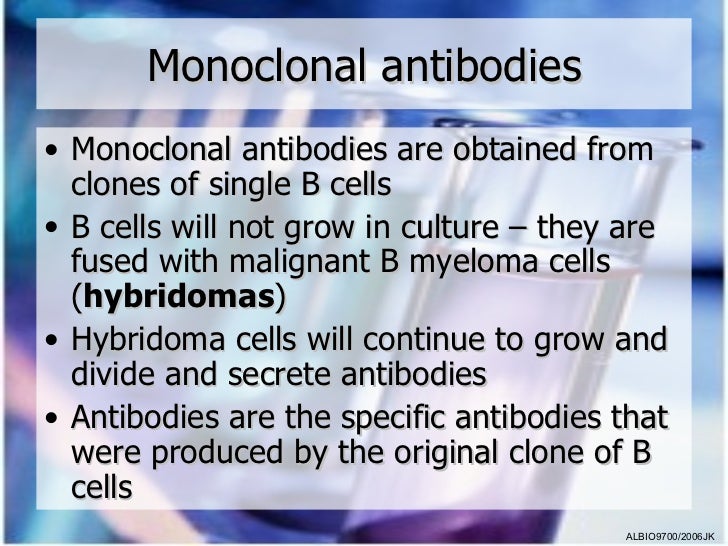 05 Monoclonal Antibodies