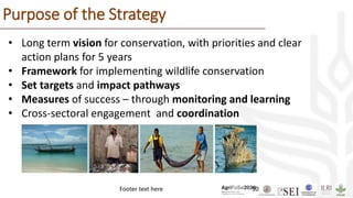 Footer text here 10
Purpose of the Strategy
• Long term vision for conservation, with priorities and clear
action plans for 5 years
• Framework for implementing wildlife conservation
• Set targets and impact pathways
• Measures of success – through monitoring and learning
• Cross-sectoral engagement and coordination
 
