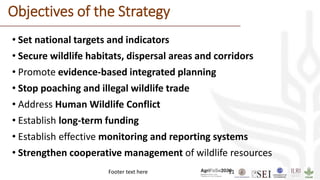 Footer text here 11
Objectives of the Strategy
• Set national targets and indicators
• Secure wildlife habitats, dispersal areas and corridors
• Promote evidence-based integrated planning
• Stop poaching and illegal wildlife trade
• Address Human Wildlife Conflict
• Establish long-term funding
• Establish effective monitoring and reporting systems
• Strengthen cooperative management of wildlife resources
 