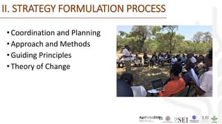 13
African Monarch Butterfly
II. STRATEGY FORMULATION PROCESS
•Coordination and Planning
•Approach and Methods
•Guiding Principles
•Theory of Change
 