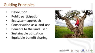 • Devolution
• Public participation
• Ecosystem approach
• Conservation as a land-use
• Benefits to the land user
• Sustainable utilization
• Equitable benefit sharing
Guiding Principles
 