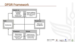 DPSIR Framework
 