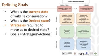 Defining Goals
• What is the current state
of wildlife conservation?
• What is the Desired state?
• Strategies required to
move us to desired state?
• Goals > Strategies>Actions
 