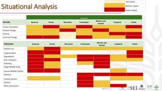 Situational Analysis
Ecosystems
DRIVERS Savanna Forest Mountain Freshwater
Marine and
Coastal
Cropland Urban
Human Population 2 3 2 3 2 2 3
Climate Change 2 2 3 2 3 2 2
Poverty 2 2 1 2 2 3 3
Land Use Change 3 3 1 3 2 2 3
PRESSURES Savanna Forest Mountain Freshwater
Marine and
Coastal
Cropland Urban
Habitat Loss 2 3 2 2 2 2 2
Fragmentation 3 3 3
Degradation 3 2 2 3 3 2 3
Over utilization 3 3 3 3 2 2
Poaching 3 2 2 3
Illegal Wildlife Trade 3 2 3
Human Wildlife Conflict 3 3 2
Pollution 3 3 3 3
Invasive Species 2 2 3 2 2
Siltation 3 2
Water abstraction 3 2 3
1 Low Impact
2 Medium Impact
3 Severe Impact
 