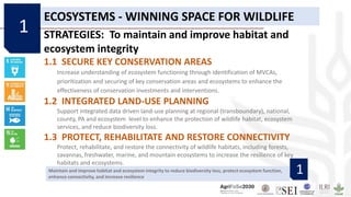 Maintain and improve habitat and ecosystem integrity to reduce biodiversity loss, protect ecosystem function,
enhance connectivity, and increase resilience
1
ECOSYSTEMS - WINNING SPACE FOR WILDLIFE
STRATEGIES: To maintain and improve habitat and
ecosystem integrity
1.1 SECURE KEY CONSERVATION AREAS
Increase understanding of ecosystem functioning through identification of MVCAs,
prioritization and securing of key conservation areas and ecosystems to enhance the
effectiveness of conservation investments and interventions.
1.2 INTEGRATED LAND-USE PLANNING
Support integrated data driven land-use planning at regional (transboundary), national,
county, PA and ecosystem level to enhance the protection of wildlife habitat, ecosystem
services, and reduce biodiversity loss.
1.3 PROTECT, REHABILITATE AND RESTORE CONNECTIVITY
Protect, rehabilitate, and restore the connectivity of wildlife habitats, including forests,
savannas, freshwater, marine, and mountain ecosystems to increase the resilience of key
habitats and ecosystems.
1
 