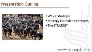 Presentation Outline
•Why a Strategy?
•Strategy Formulation Process
•The STRATEGY
 