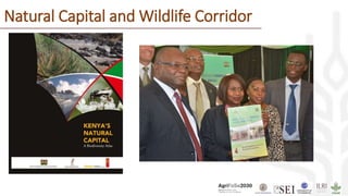 Natural Capital and Wildlife Corridor
 
