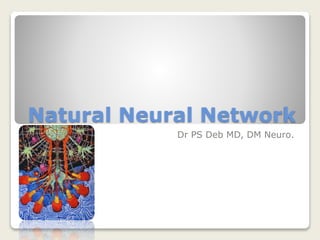 Natural Neural Network
Dr PS Deb MD, DM Neuro.
 