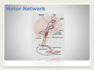 Natural neural networking | PPTX