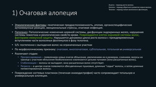 1) Очаговая алопеция
• Этиологические факторы: генетическая предрасположенность, атопия, органоспецифические
аутоиммунные реакции, эмоциональные стрессы, очаговая инфекция.
• Патогенез: Патологические изменения нервной системы, дисфункции эндокринных желез, нарушения
системы гемостаза и реологических свойств крови. Повреждаются клеток корневой системы волос,
факторами иммунной защиты. Нарушается динамика цикла роста волоса с преждевременным
вступлением части волосяных фолликулов в фазу телогена.
• S/S: постепенно с выпадения волос на ограниченных участках
• По морфологическому признаку: очаговая, многоочаговая, субтотальная, тотальная и универсальная
• Различают стадии:
• Прогрессирования -- появлением новых очагов облысения, увеличением их в размерах, слиянием; волосы на
границе с участком облысения безболезненно извлекаются целыми пучками (зона расшатанных волос),
• Стабилизации -- волосы не выпадают, зона расшатанных волос отсутствует.
• Регресса -- в центре очагов появляются обесцвеченные пушковые, длинные "седые" волосы, а затем длинные
пигментированные волосы.
• Повреждение ногтевых пластинок (точечная ониходистрофия) часто сопровождает тотальную и
универсальную алопеции.
Анаген - период роста волоса.
Катаген - период обратного развития корня волоса.
Телоген - период покоя волосяного фолликула.
 
