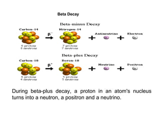 Beta Decay 
During beta-plus decay, a proton in an atom's nucleus 
turns into a neutron, a positron and a neutrino. 
 