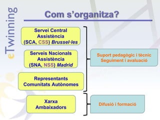 Servei Central
Assistència
(SCA, CSS) Brussel·les
Serveis Nacionals
Assistència
(SNA, NSS) Madrid
Representants
Comunitats Autònomes
Xarxa
Ambaixadors
Suport pedagògic i tècnic
Seguiment i avaluació
Difusió i formació
 