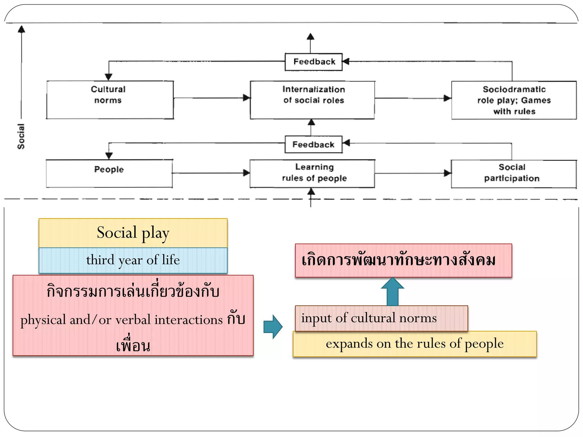 expands on the rules of people
Social play
third year of life
กิจกรรมการเล่นเกี่ยวข้องกับ
physical and/or verbal interactions กับ
เพื่อน
input of cultural norms
เกิดการพัฒนาทักษะทางสังคม
 
