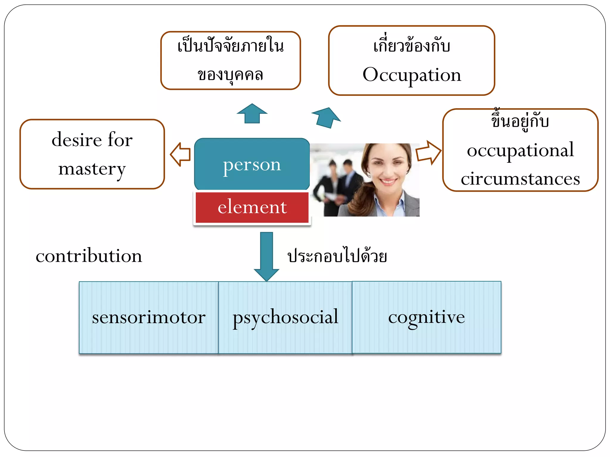เป็นปัจจัยภายใน
ของบุคคล
desire for
mastery
ประกอบไปด้วย
sensorimotor psychosocial cognitive
person
element
เกี่ยวข้องกับ
Occupation
contribution
ขึ้นอยู่กับ
occupational
circumstances
 
