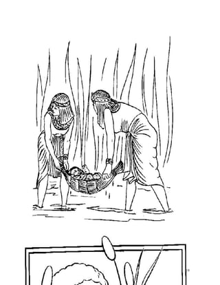 05 paroquia tranfiguracao