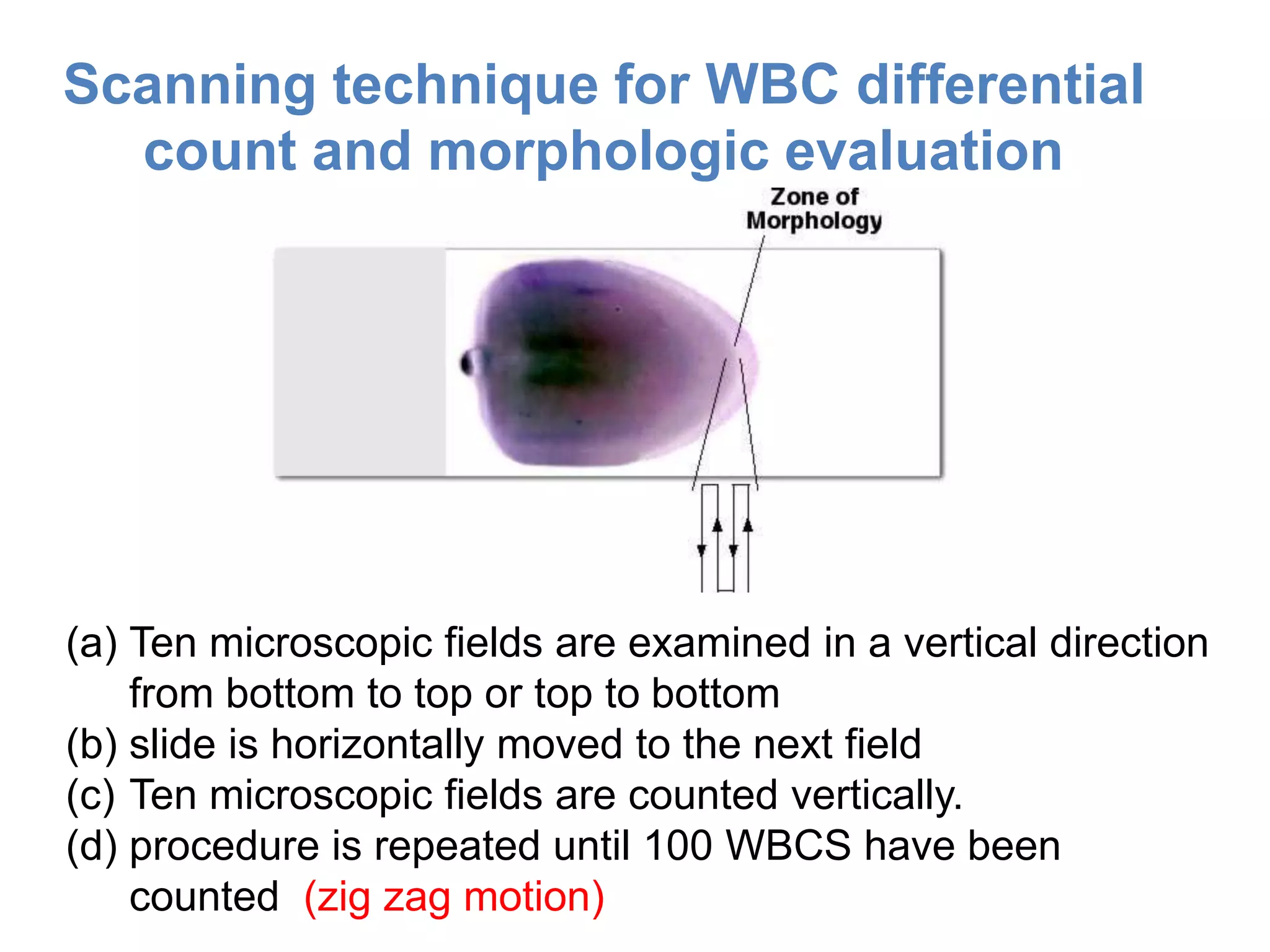 05 peripheral blood smear examination | PPTX