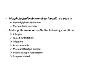 • Morphologically abnormal eosinophils are seen in
– Myelodysplastic syndrome
– Megaloblastic anemias
• Eosinophils are increased in the following conditions:
 Allergies
 Parasitic infestations
 Infections
 Acute leukemia
 Myeloproliferative diseases
 Hypereosinophilic syndrome
 Drug-associated
 