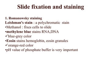 Slide fixation and staining
1. Romanowsky staining
Leishman's stain : a polychromatic stain
•Methanol : fixes cells to slide
•methylene blue stains RNA,DNA
blue-grey color
•Eosin stains hemoglobin, eosin granules
orange-red color
•pH value of phosphate buffer is very important
 