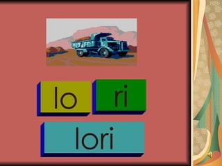 lo ri lori 