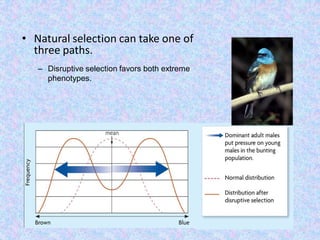 05 population variation and selection | PDF