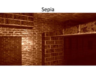 Sepia
 