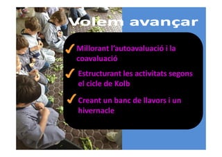 Millorant l’autoavaluació i la
coavaluació
Estructurant les activitats segons
el cicle de Kolb
Creant un banc de llavors i un
hivernacle

 