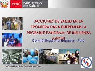 ACCIONES DE SALUD EN LA FRONTERA PARA ENFRENTAR LA PROBABLE PANDEMIA DE INFLUENZA A/H1N1 Comité Binacional Ecuador – Perú  