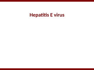 Hepatitis E virus
 