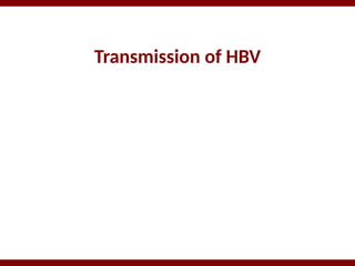 Transmission of HBV
 
