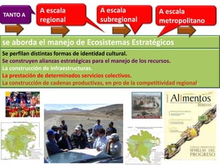 A escala                A escala               A escala
TANTO A
              regional                subregional            metropolitano

se aborda el manejo de Ecosistemas Estratégicos
Se perfilan distintas formas de identidad cultural.
Se construyen alianzas estratégicas para el manejo de los recursos.
La construcción de infraestructuras.
La prestación de determinados servicios colectivos.
La construcción de cadenas productivas, en pro de la competitividad regional.
 