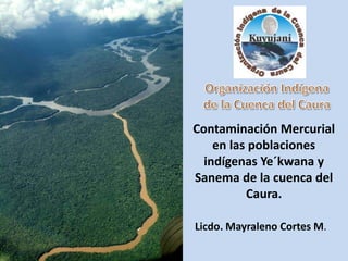 Contaminación Mercurial
    en las poblaciones
  indígenas Ye´kwana y
Sanema de la cuenca del
          Caura.

Licdo. Mayraleno Cortes M.
 