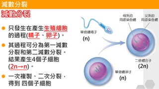 減數分裂
⚫ 只發生在產生生殖細胞
的過程(精子、卵子)。
⚫ 其過程可分為第一減數
分裂和第二減數分裂。
結果產生4個子細胞
(2n→n)。
⚫ 一次複製、二次分裂，
得到 四個子細胞
減數分裂
(2n)
(n)
(n)
 