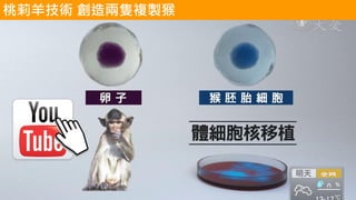https://youtu.be/H8c9nH69HGA
桃莉羊技術 創造兩隻複製猴
 
