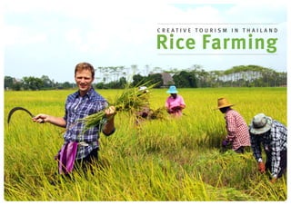 Creative Tourism in Thailand


Rice Farming
 