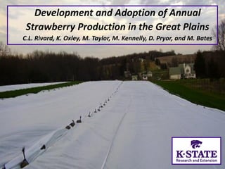 Development and Adoption of Annual
Strawberry Production in the Great Plains
C.L. Rivard, K. Oxley, M. Taylor, M. Kennelly, D. Pryor, and M. Bates
 