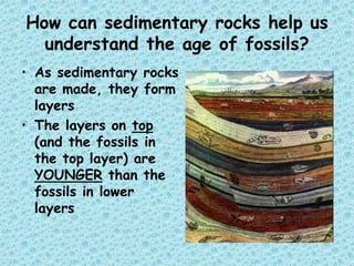 How can sedimentary rocks help us
understand the age of fossils?
• As sedimentary rocks
are made, they form
layers
• The layers on top
(and the fossils in
the top layer) are
YOUNGER than the
fossils in lower
layers

 