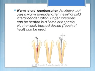  Warm lateral condensation As above, but
uses a warm spreader after the initial cold
lateral condensation. Finger spreaders
can be heated in a flame or a special
electronically heated device (Touch of
heat) can be used.
 