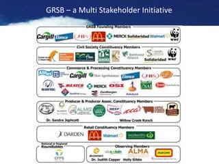 GRSB – a Multi Stakeholder Initiative
 