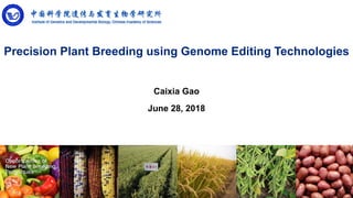 Precision Plant Breeding using Genome Editing Technologies
Caixia Gao
June 28, 2018
 