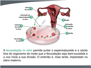 A fecundação in vitro permite juntar o espermatozoide e o oócito
fora do organismo de modo que a fecundação seja bem-sucedida e
o ovo inicie a sua divisão. O embrião é, mais tarde, implantado no
útero materno.
8/10
Extração
de oócitos?
Colocação
do oócito
in vitro
?
Colocação de
espermatozoides
in vitro
?
Fecundação
in vitro ?
Embrião?
Colocação
do embrião
no útero
?
Nidação?
 