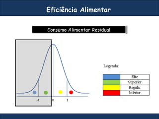 Eficiência Alimentar
Consumo Alimentar ResidualConsumo Alimentar Residual
 