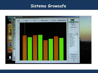 Sistema Growsafe
 