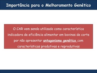 Importância para o Melhoramento Genético
O CAR vem sendo utilizado como característica
indicadora de eficiência alimentar em bovinos de corte
por não apresentar antagonismo genético com
características produtivas e reprodutivas
 