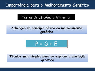 Aplicação do princípio básico do melhoramento
genético
P = G + EP = G + E
Técnica mais simples para se explicar a avaliação
genética
Testes de Eficiência Alimentar
Importância para o Melhoramento Genético
 