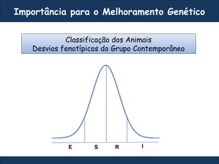 Classificação dos Animais
Desvios fenotípicos do Grupo Contemporâneo
IRSE
Importância para o Melhoramento Genético
 